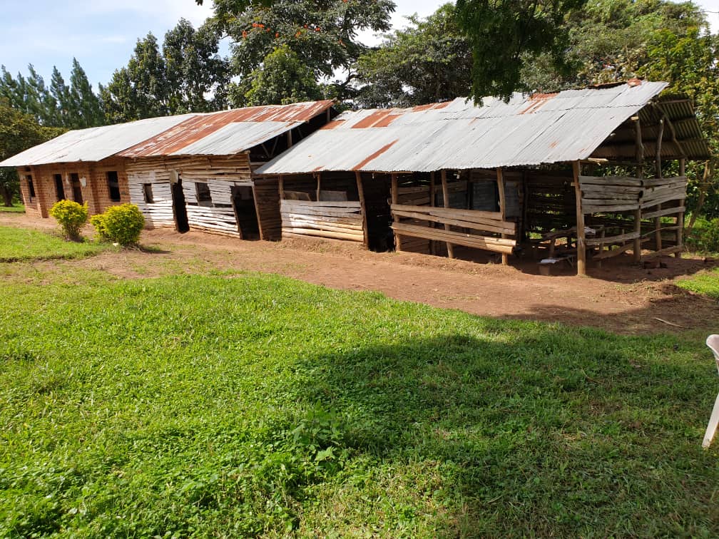 Mijn Hart Foundation - Education